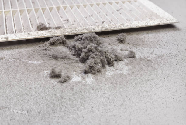 Best Local Air Duct Cleaning Services  in St Vincent College, PA